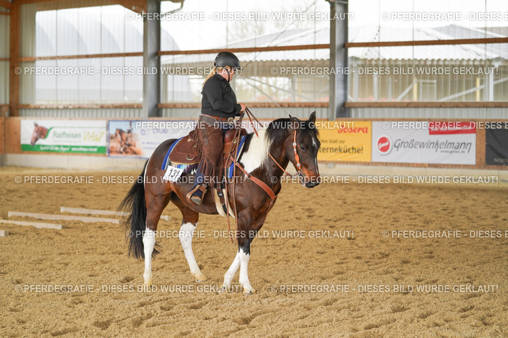 DSC03602 | Pferdegrafie