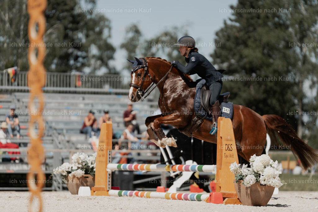 WE_ST_Stoib_342_PI2025_1422 | 330Pferd International München 2025