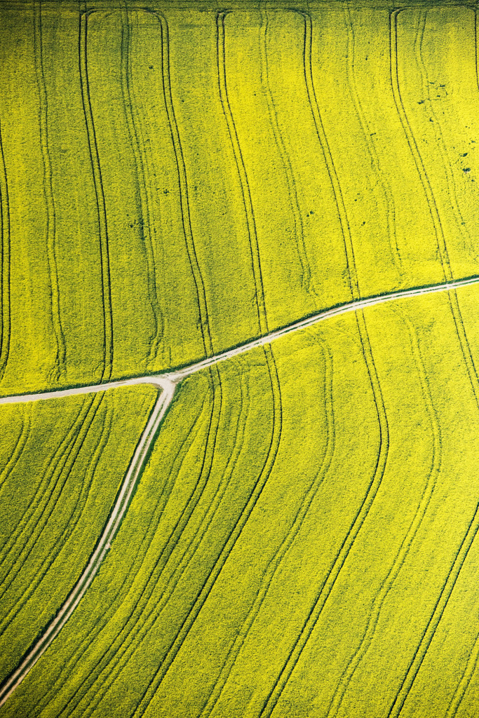dr__0012368.jpg | RODING 11.05.2017 Feld- Landschaft gelb blühender Raps- Blüten in Roding im Bundesland Bayern, Deutschland. // Field landscape yellow flowering rapeseed flowers in Roding in the state Bavaria, Germany. Foto: Daniel Reiter