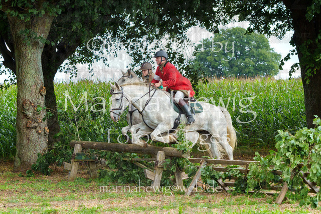 Jagd Perdoel_MarinaHewigMCH04888 | Fotografie, FotoArt, PferdesportArt, Pferdesportfotografie, Landschaftsfotografie, Reisefotografie, Reise, Pferde - Realisiert mit Pictrs.com