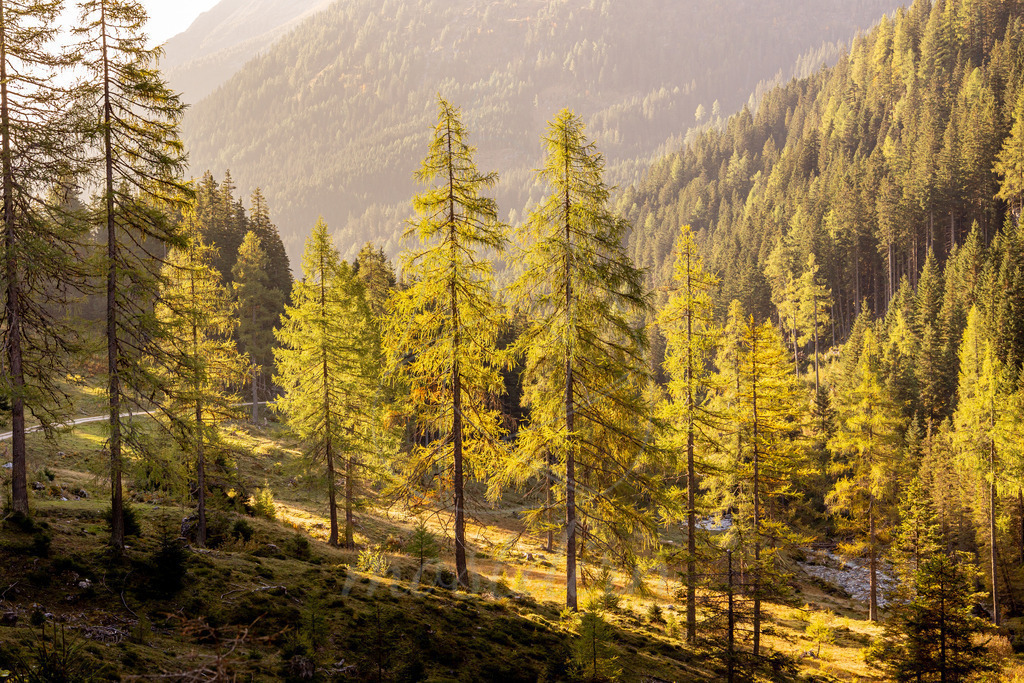 Hinteres Weißpriachtal | Weißpriachtal Lungau, Biosphärenpark Lungau, Herbst im Lungau, Wandbilderonlineshop Lungau - Realisiert mit Pictrs.com