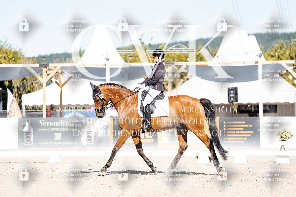CK908115 | Turnierfotografie Pferdefotografie Trier Rheinland-Pfalz Pferdesport Reitsport Tierfotografie Sportfotografie Pferdevideo Pferdevideografie Equestrianvideography equestrianphotography  - Realisiert mit Pictrs.com