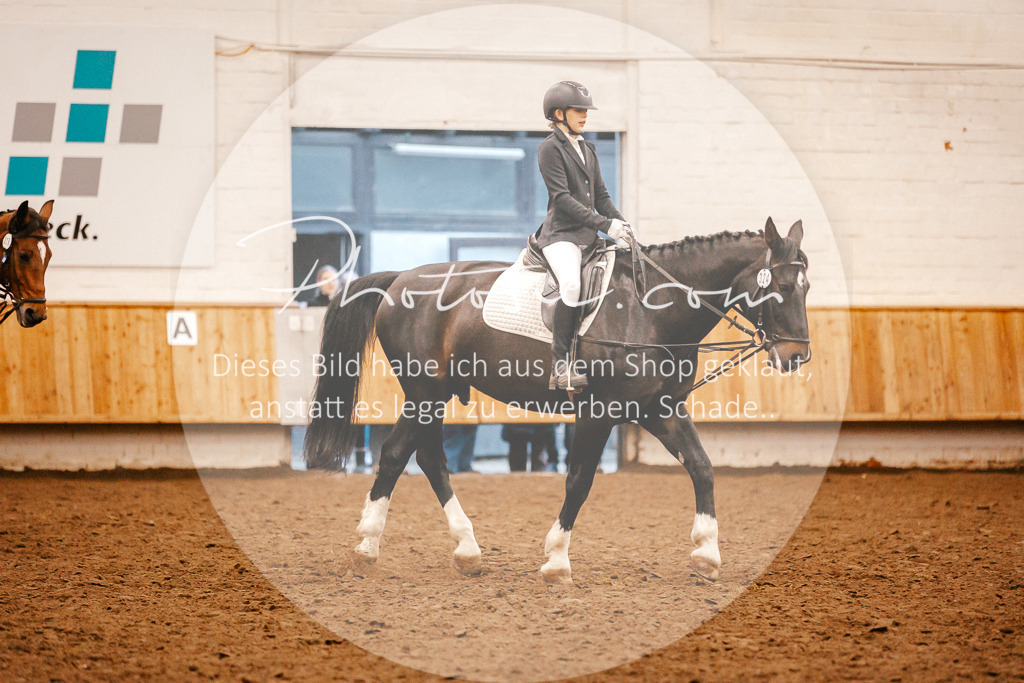 3I6A3593 | Stimmungsvolle Portraits und Reitsportfotografie im Ruhrgebiet und im Münsterland.

Pferdefotografie, Hundefotografie, Tierfotografie, Reportagen, Portraits von Tier und Mensch, Turnierfotografie in Bochum, Recklinghausen, Marl, Haltern am See, Dülmen.. - Realisiert mit Pictrs.com