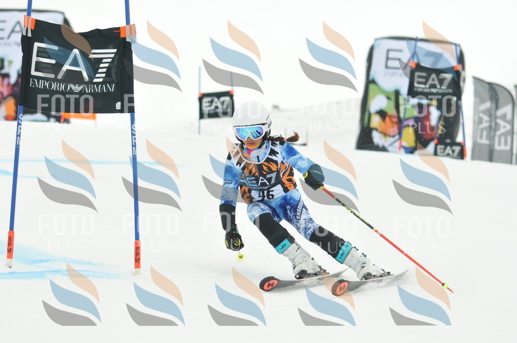 DSC_7684 | holidayphoto