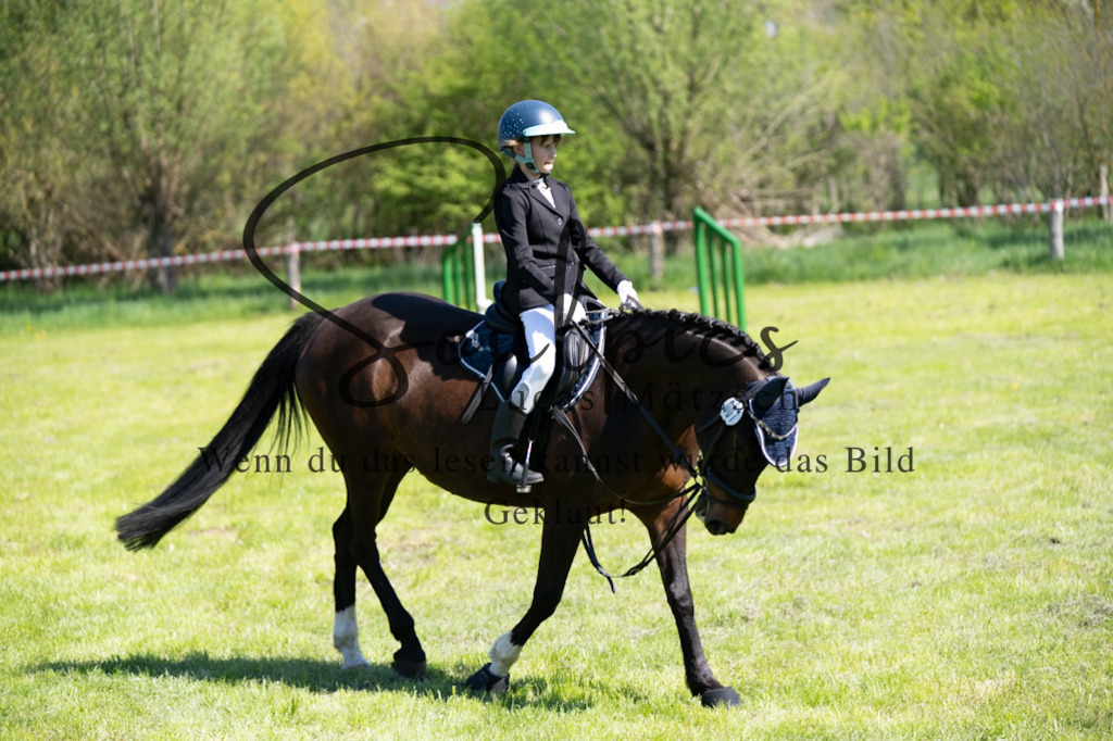 A7V01349 | Pferdefotograf