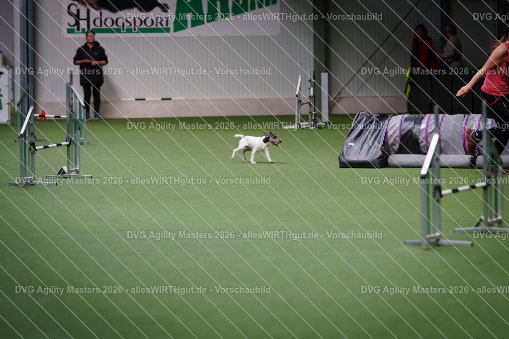allesWIRTHgut_Tierfotografie-DVG_Agility_Masters_2026-11_10-7R505025 | Professionelle Tierfotografie in Mönchengladbach von Daniel Wirth (allesWIRTHgut). Liebevolle & natürliche Bilder von Hunden & Katzen für unvergessliche Erinnerungen.