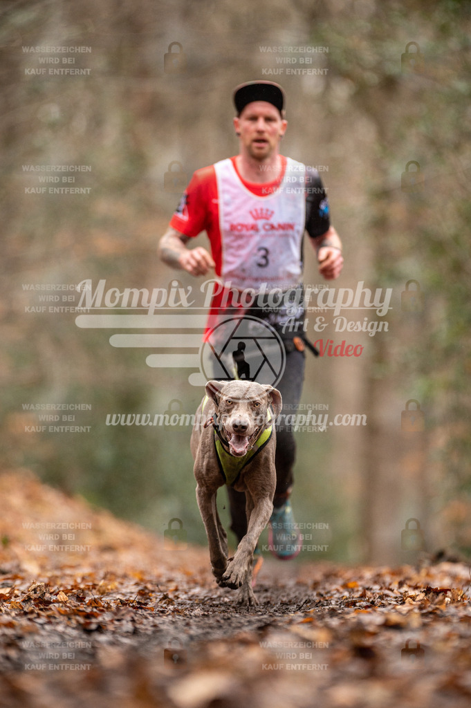 SPA_2023_DIM_CCL-19 | PayLife