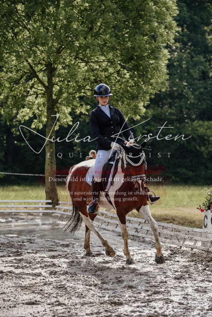 DSC_8727 | Pferde- und Turnierfotografie in Westsachsen. Pferdeportraits, Auftragszeichnungen und intuitive Kunst.