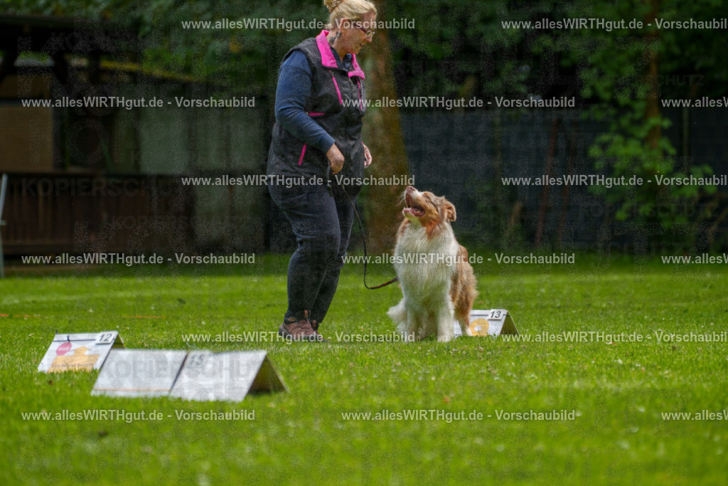 @allesWIRTHgut_Tierfotografie - www.allesWIRTHgut.de - 7R501261 | Professionelle Tierfotografie in Mönchengladbach von Daniel Wirth (allesWIRTHgut). Liebevolle & natürliche Bilder von Hunden & Katzen für unvergessliche Erinnerungen.