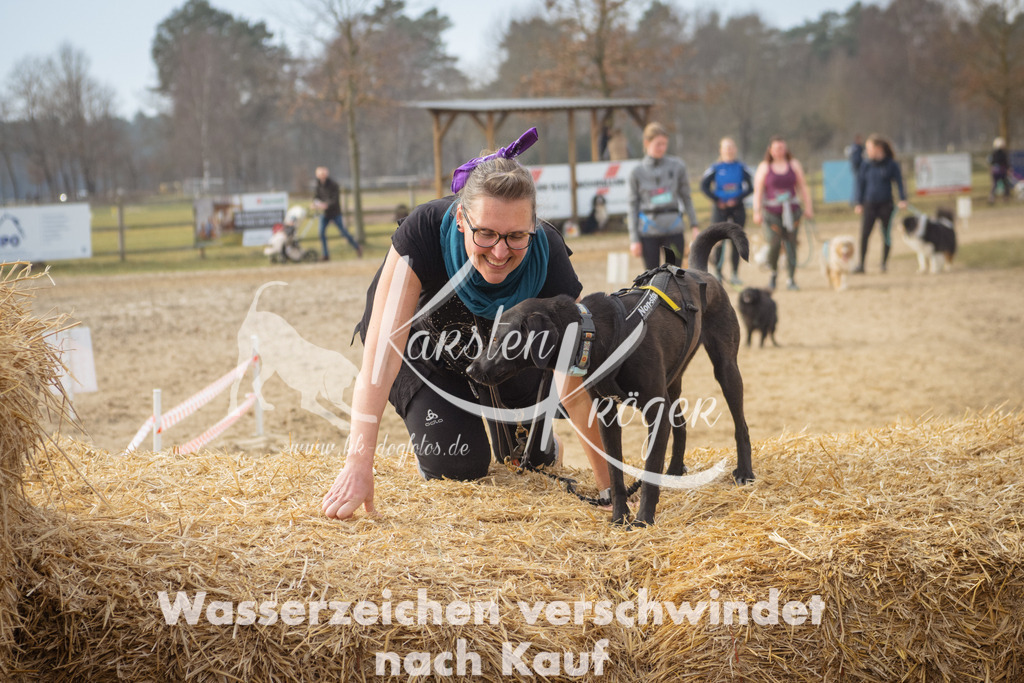 1041_ZZ97655 | kk-dogfotos