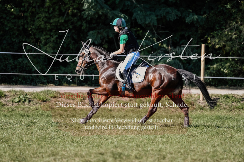 DSC_3626 | Pferde- und Turnierfotografie in Westsachsen. Pferdeportraits, Auftragszeichnungen und intuitive Kunst.