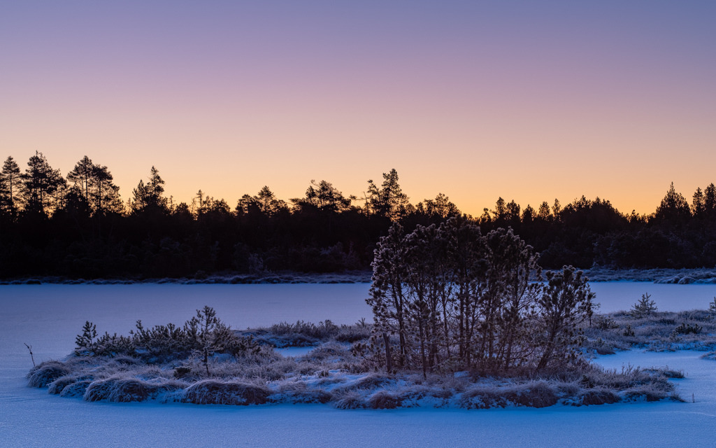 Schaurig schönes Moor | Die Stille am Hochmoor, bevor die Sonne aufgeht, ist magisch. Bei frostigen Temperaturen gelang mir dieses Foto. - Realisiert mit Pictrs.com