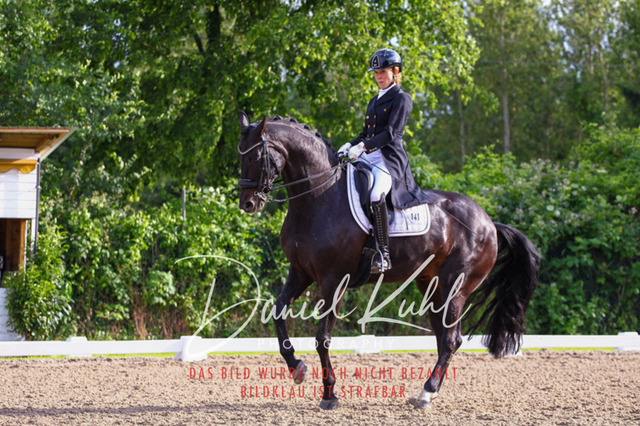 DKP41742 | Deine Turnierfotos vom Reitturnier online kaufen: Dressur, Springen & Siegerehrung. Professionelle Pferdefotografie aus dem Rheinland – als Download & Print.Alternative: Turnierfotograf für den Pferdesport: Finde deine Fotos von Dressur- und Springturnier