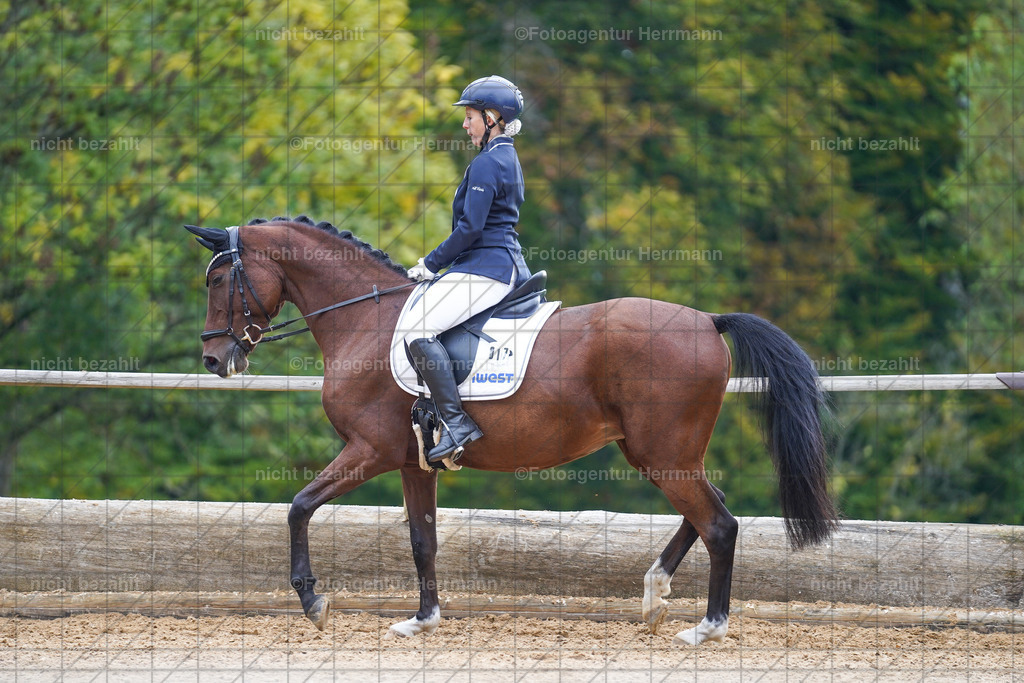 20221008-FAH01034 | Diessen am Ammersee, 2022, Dressur- und Springturnier, Reitsportbilder, Turnierfotografen Bayern, Pferdefotografen, Fotoagentur Herrmann, Turnierbilder