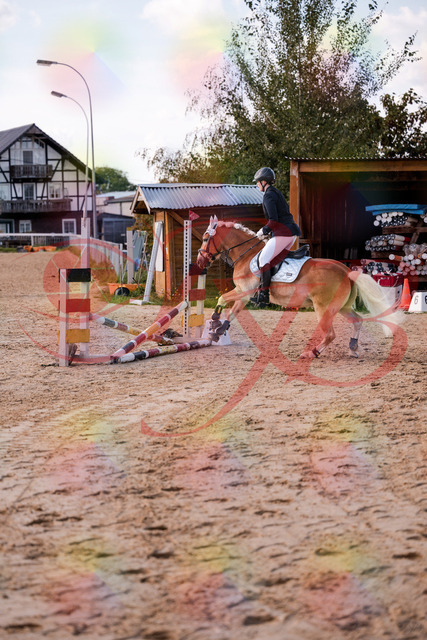 2026_10_03_Siefer-Hof_145517_Z81_35855662 | Professionelle Reitsport-, Turnier- und Eventfotografie von Robert Broda. Galerien mit ausgewählten und bearbeiteten Bildern direkt online ansehen und bestellen.