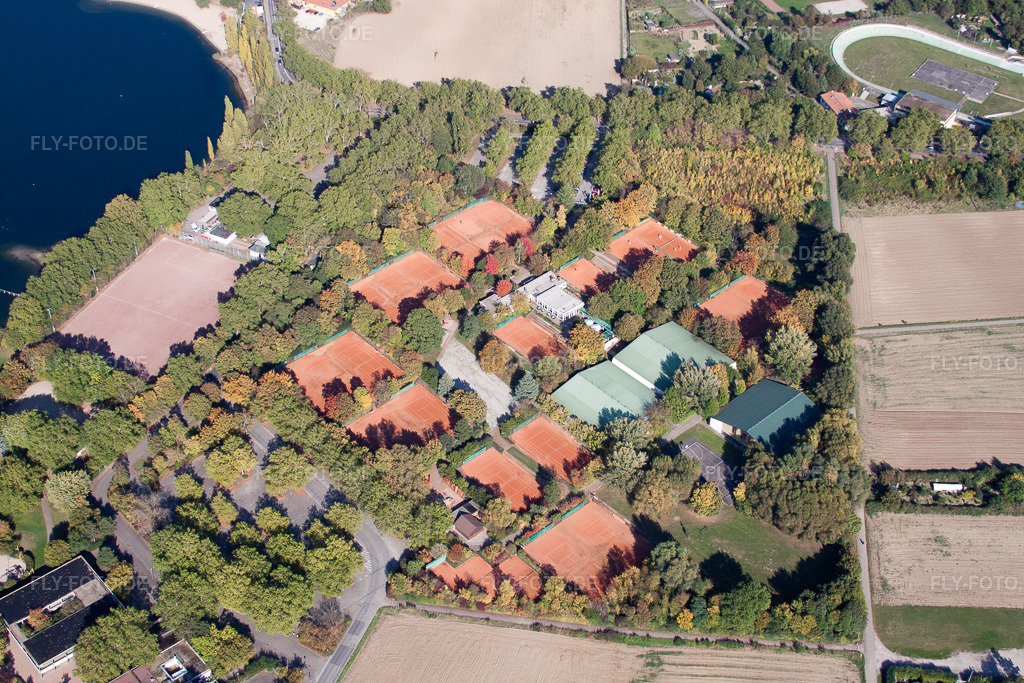 Luftbild: Tennisplatz Sportanlage BASF Tennisclub am Rhein im Ortsteil Friesenheim in Ludwigshafen im Bundesland Rheinland-Pfalz in Deutschland. Foto: IMG_21795.jpg vom 09.10.2009 durch Werner Riehm/FLY-FOTO.de