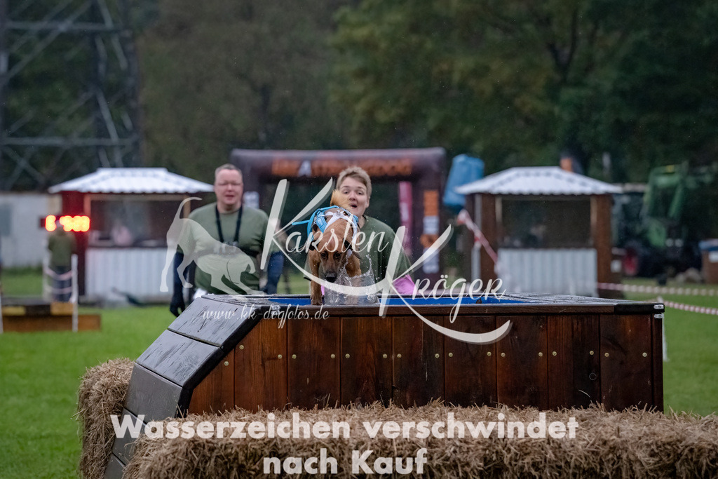 0817-_ZZ90906-Bearbeitet-Bearbeitet | kk-dogfotos