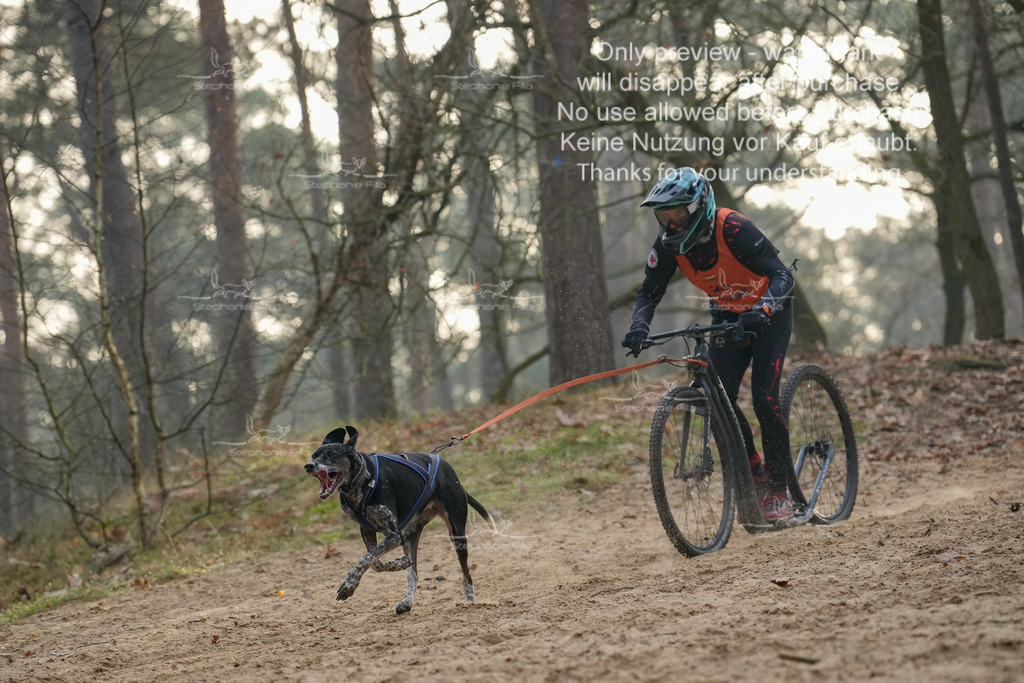 Scooter1-149 | stephaniefillaphotographie - Realisiert mit Pictrs.com