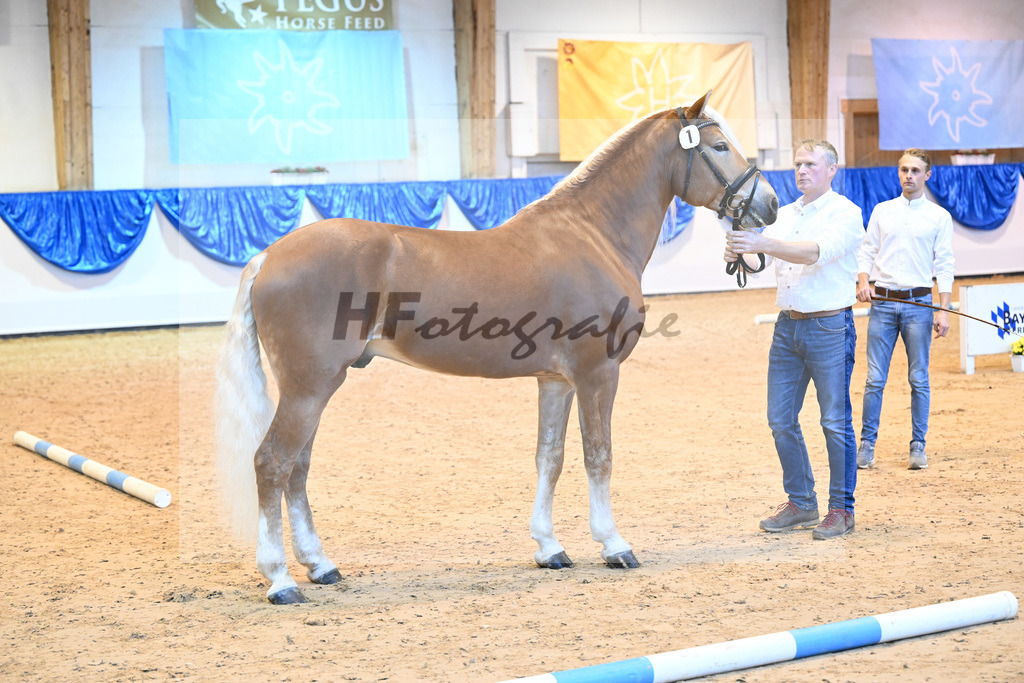 Kat-Nr. 1 Neustart v. Neulaender_Obermeyer_60220621 | hf-fotografie - Realisiert mit Pictrs.com