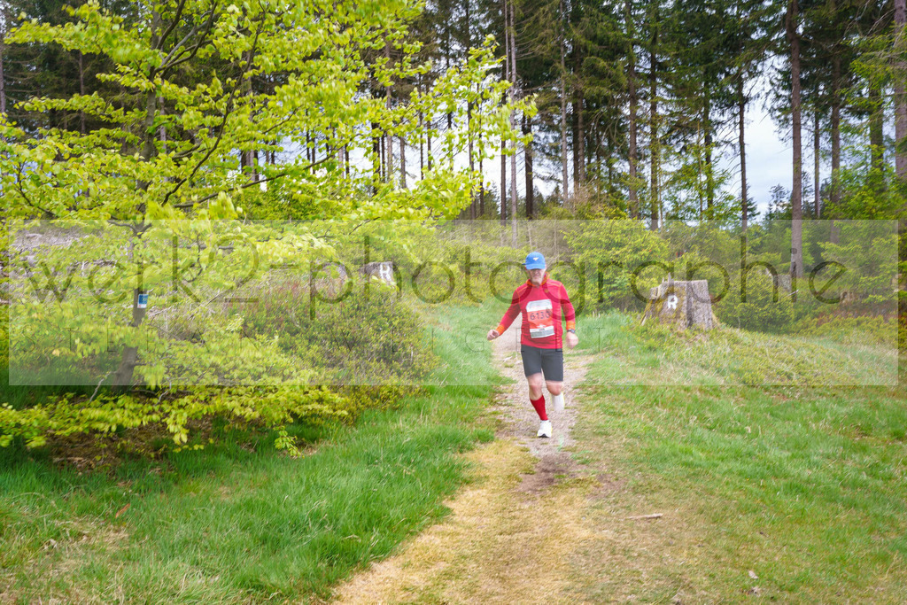 Rennsteiglauf Marathon 2025 | Marathon von Neuhaus/Rwg. nach Schmiedefeld/Rstg. am 17. Mai 2025