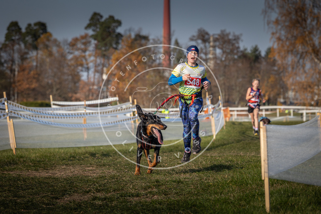 CaniXpix_0L8A9250 | Hundefotografie, Tierfotograf, Pfotenfotografie, Fotoshooting Hund, Hunde Portrait, Hundesport, Hundeportraits, Heideshooting, Hunde, Sportfotograf, Hundefotograf, Turnierhundsport, THS,  - Realisiert mit Pictrs.com