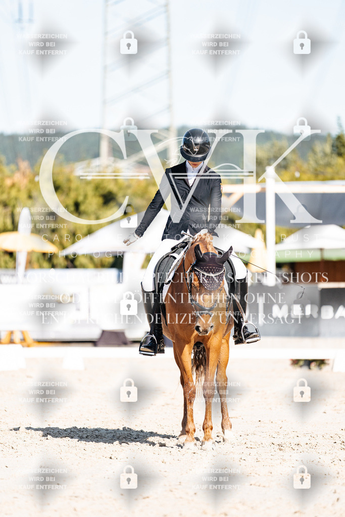 CK907754 | Turnierfotografie Pferdefotografie Trier Rheinland-Pfalz Pferdesport Reitsport Tierfotografie Sportfotografie Pferdevideo Pferdevideografie Equestrianvideography equestrianphotography  - Realisiert mit Pictrs.com