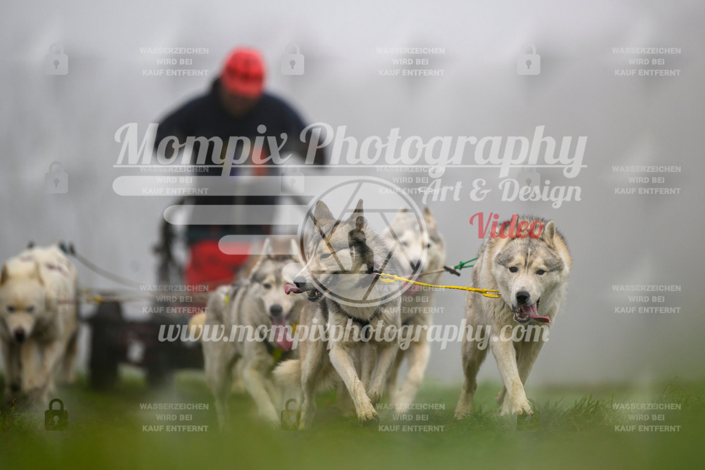 MompixPhotography_CDF2023_FFST_Di_Kart-98 | PayLife