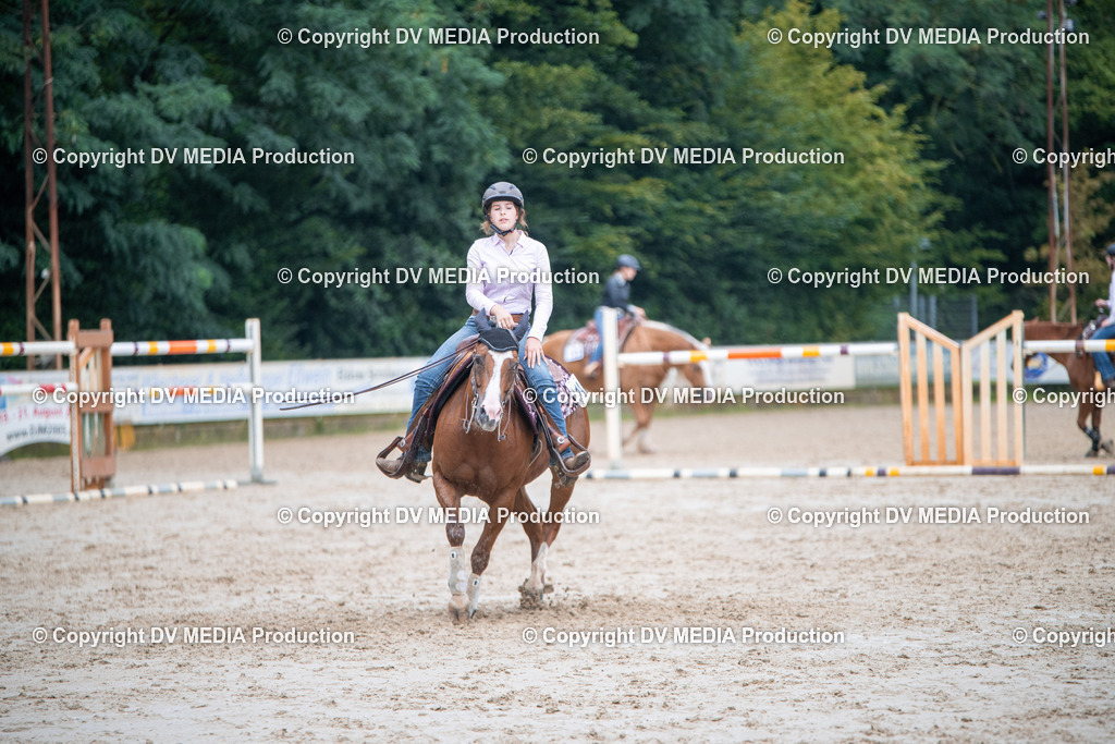 ZS2_4132 | dv-media-shop - Realisiert mit Pictrs.com