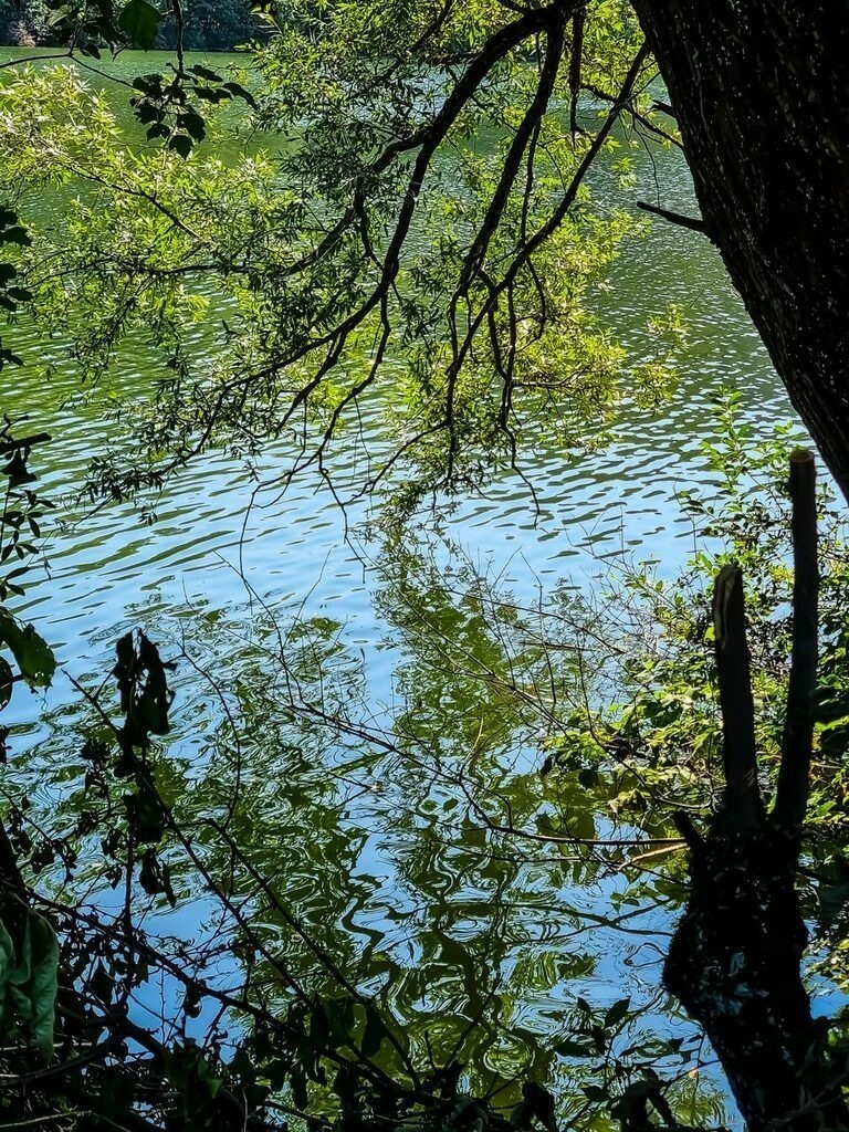 PSX_20210905_194419 | mtkfoto_ - Realisiert mit Pictrs.com