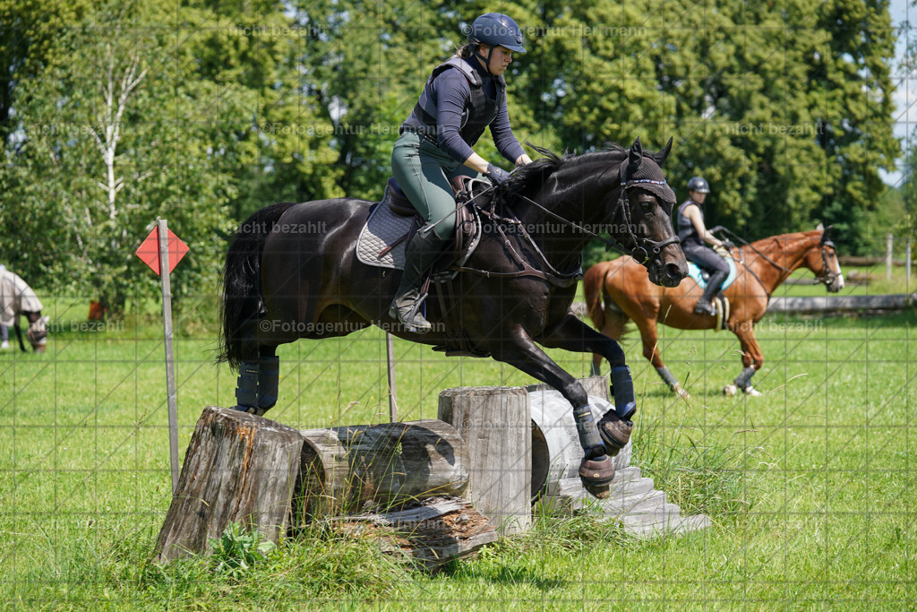 20240622-FAH06846 | Turnierfotografen Bayern, Reitsportbilder aus dem Geländekurs mit Felix Etzel auf dem Gut Waitzacker 2024