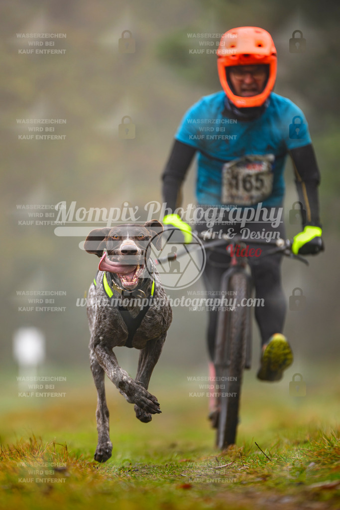 MompixPhotography_Bischwiller2025_Scooter-20 | mompixphotography