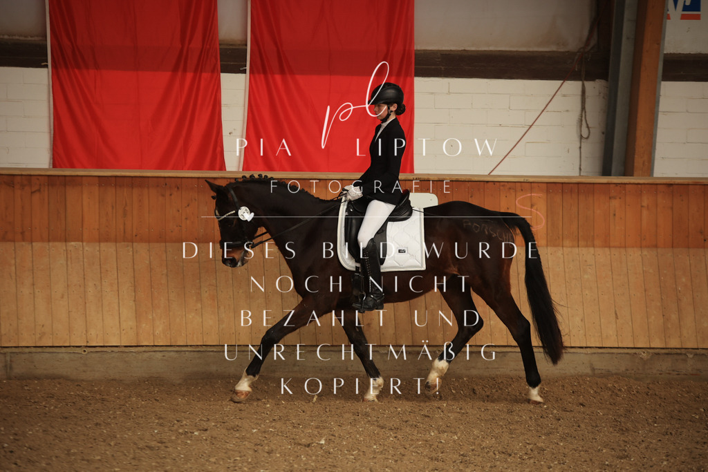 IMGT5429 | pl-fotografie