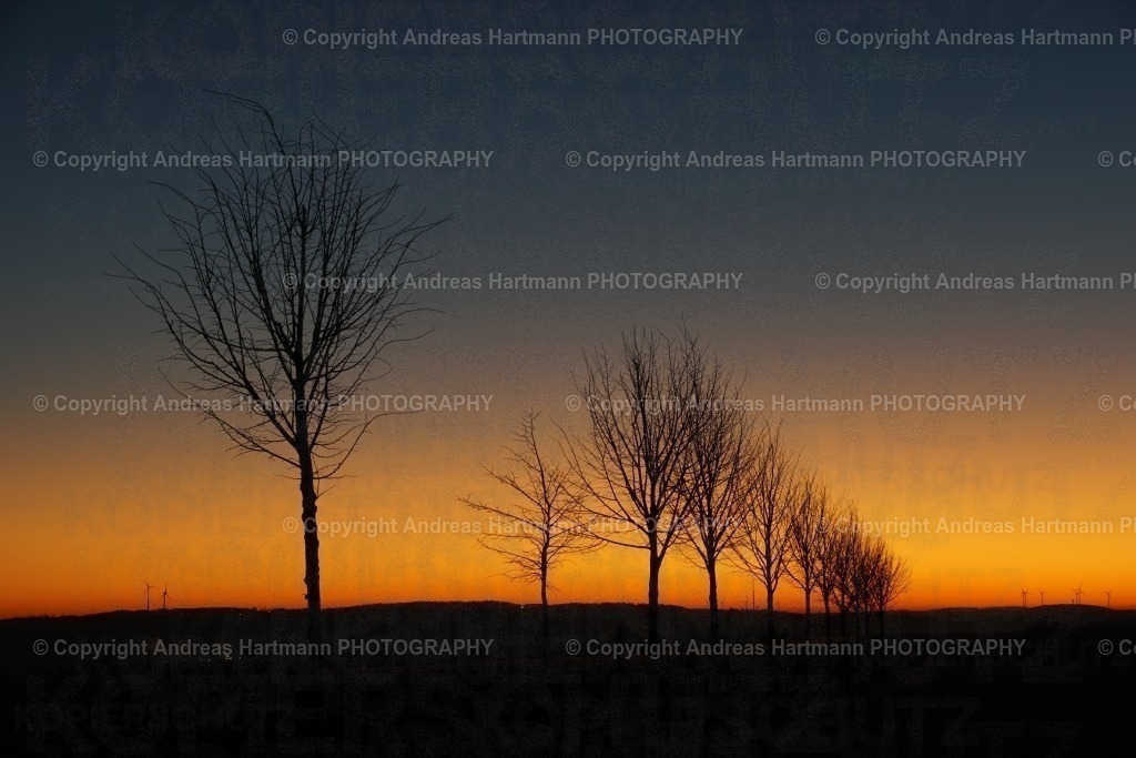 Morgenstimmung auf Landstraße | Morgenstimmung auf Landstraße - Realisiert mit Pictrs.com