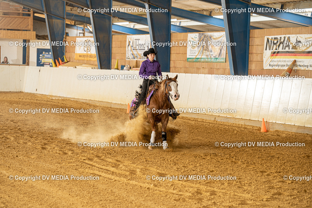 MIT00368 | dv-media-shop - Realisiert mit Pictrs.com