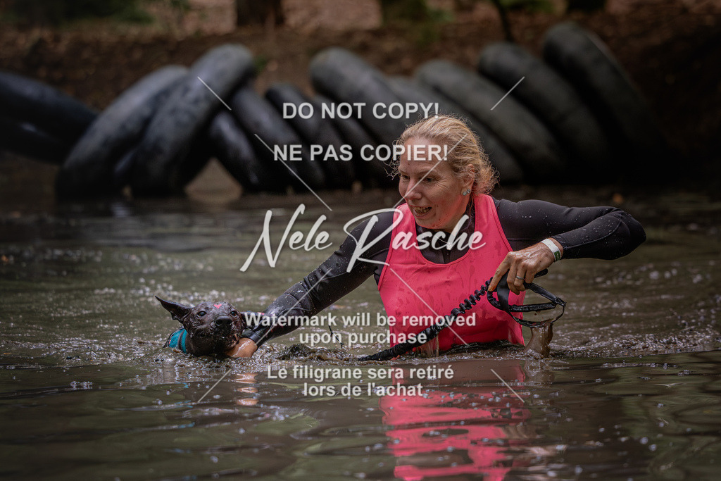 nelerasche_SaWingst1400-1500_148 | nelerasche