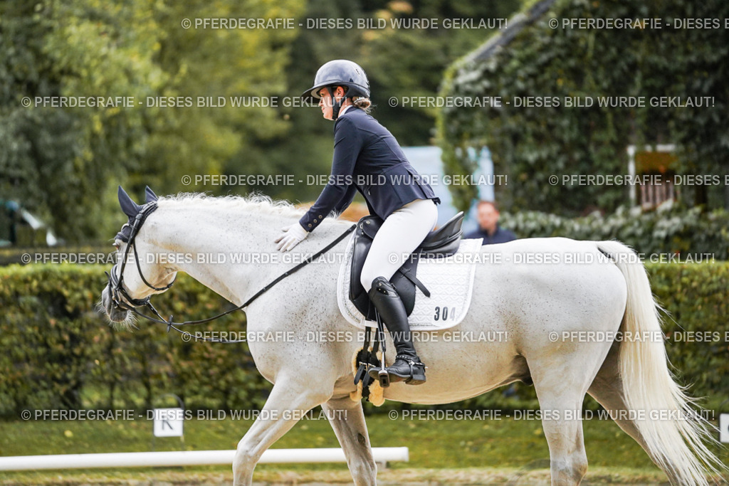 DSC06674 | Pferdegrafie