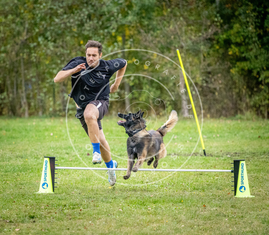 Pfotenfotografie_DV3A1393 | Hundefotografie, Tierfotograf, Pfotenfotografie, Fotoshooting Hund, Hunde Portrait, Hundesport, Hundeportraits, Heideshooting, Hunde, Sportfotograf, Hundefotograf, Turnierhundsport, THS,  - Realisiert mit Pictrs.com