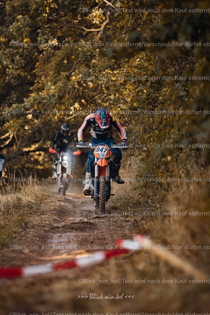 E68A6372 | blick_win_kel