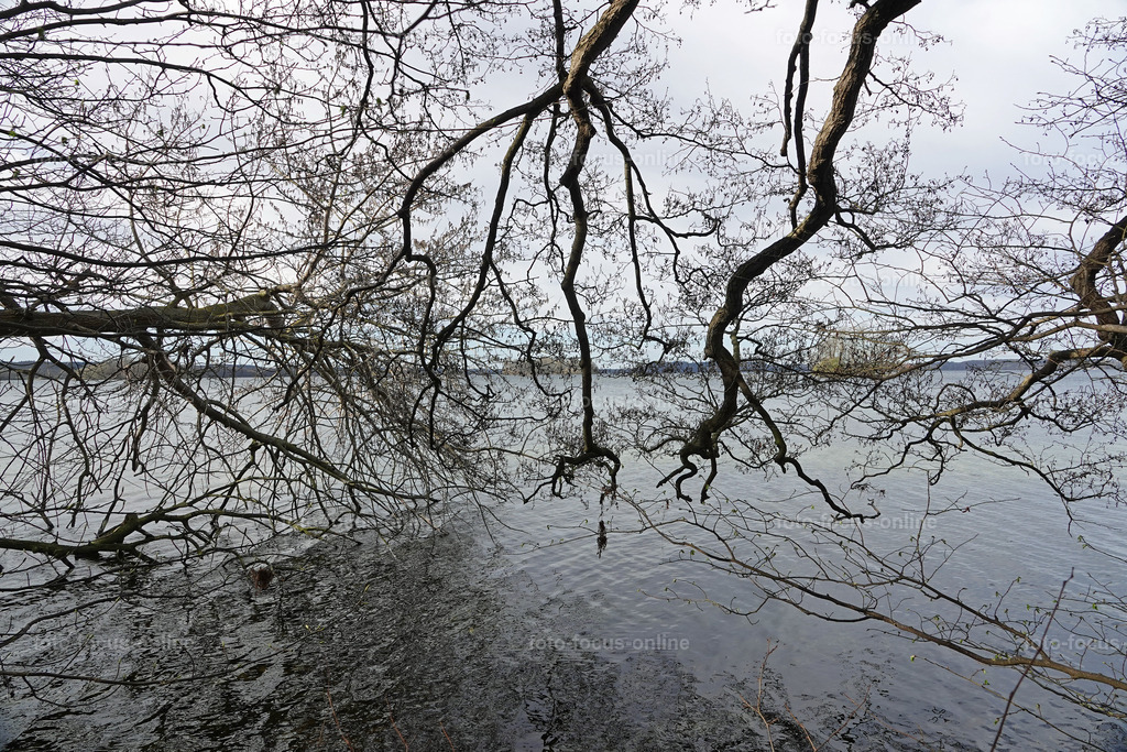 Smiling Lake_41 | White freshwater mussels on the shore