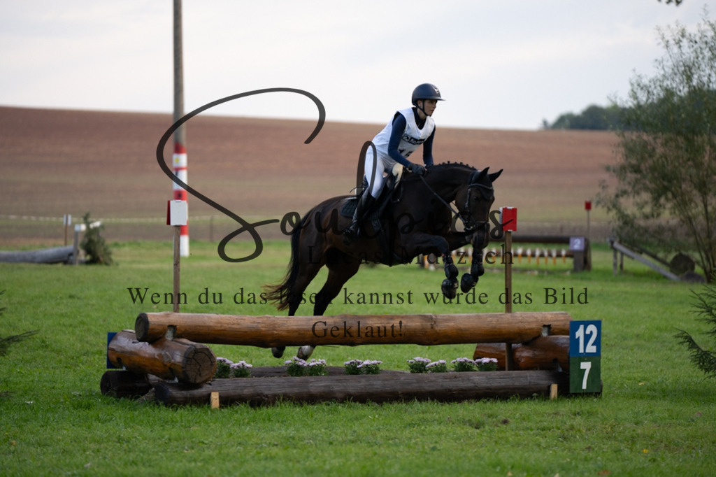 A7V03016 | Pferdefotograf