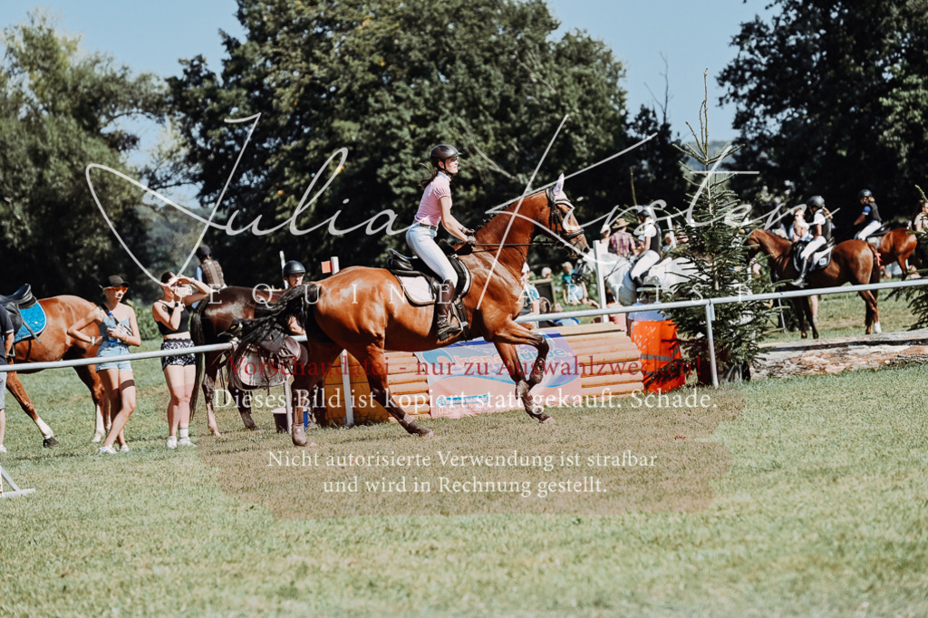 DSC_6539 | Pferde- und Turnierfotografie in Westsachsen. Pferdeportraits, Auftragszeichnungen und intuitive Kunst.