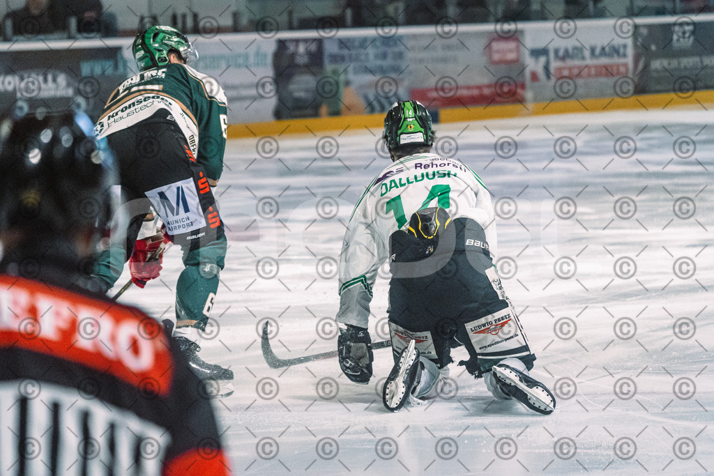 Erding_vs_Alligators_02_01_2026-53 | Höchstadt Alligators Fotogalerie: Eishockey-Action aus Franken. Professionelle Spielfotos, Portraits & Stadionbilder zum Download. Jetzt entdecken! - Realisiert mit Pictrs.com