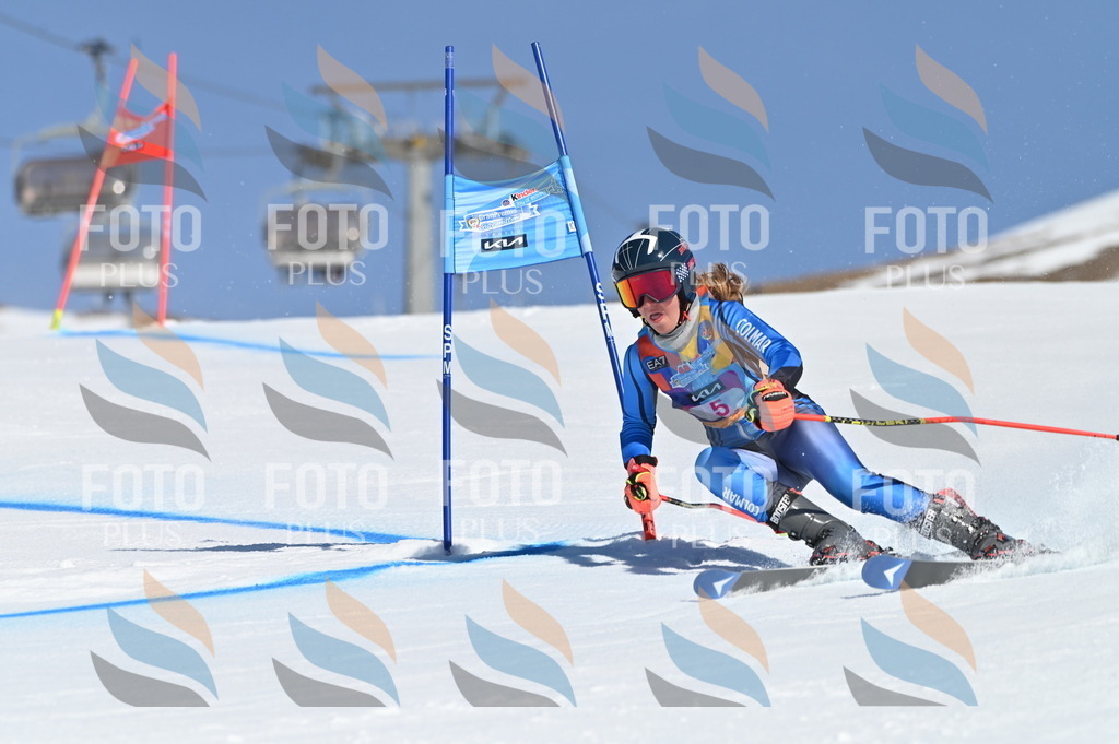 BGV_7653 | holidayphoto