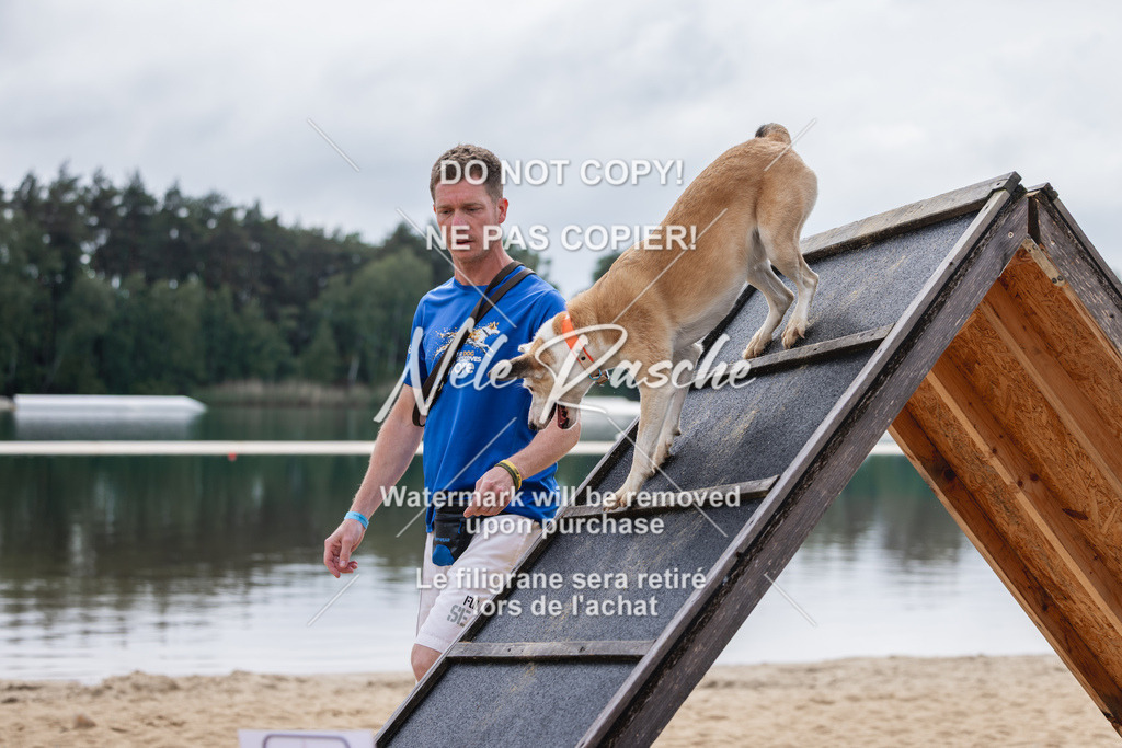 nelerasche_BuHu2026_So1530-Ende_61 | nelerasche