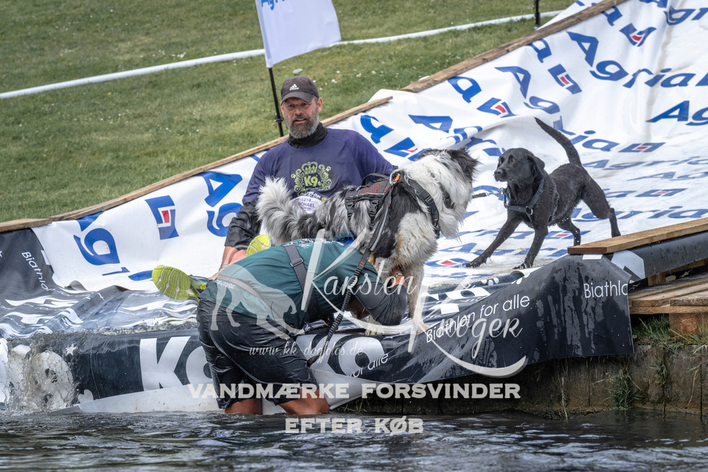 1131_ZZ92796 | kk-dogfotos