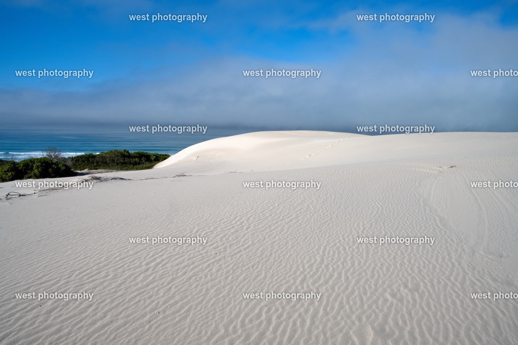 De Hoop Dunes - RSA 2025 | west photography - Realisiert mit Pictrs.com