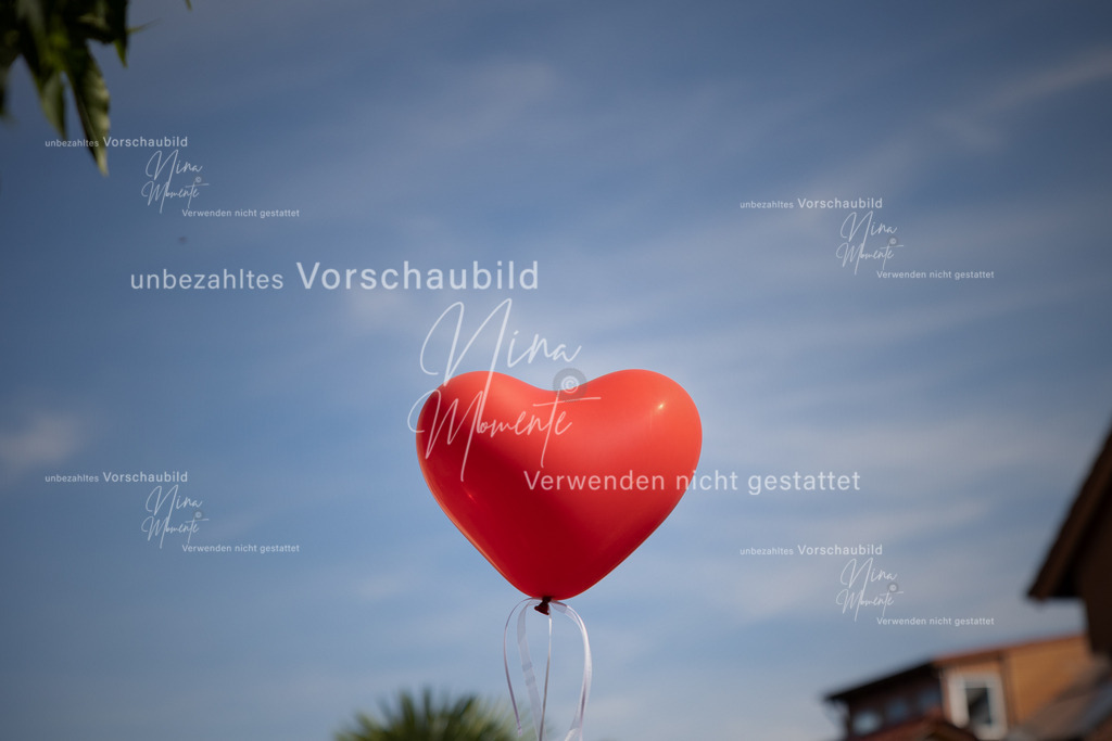 _16A9271-1 | Einzigartige Fotos von Hunden & Menschen –Actionfotos, Portraits, Vereinsaufnahmen & Paarshootings – authentisch, lebendig & mit Herz.