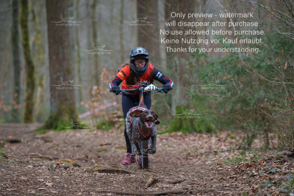 Scooter_So-1 | stephaniefillaphotographie - Realisiert mit Pictrs.com