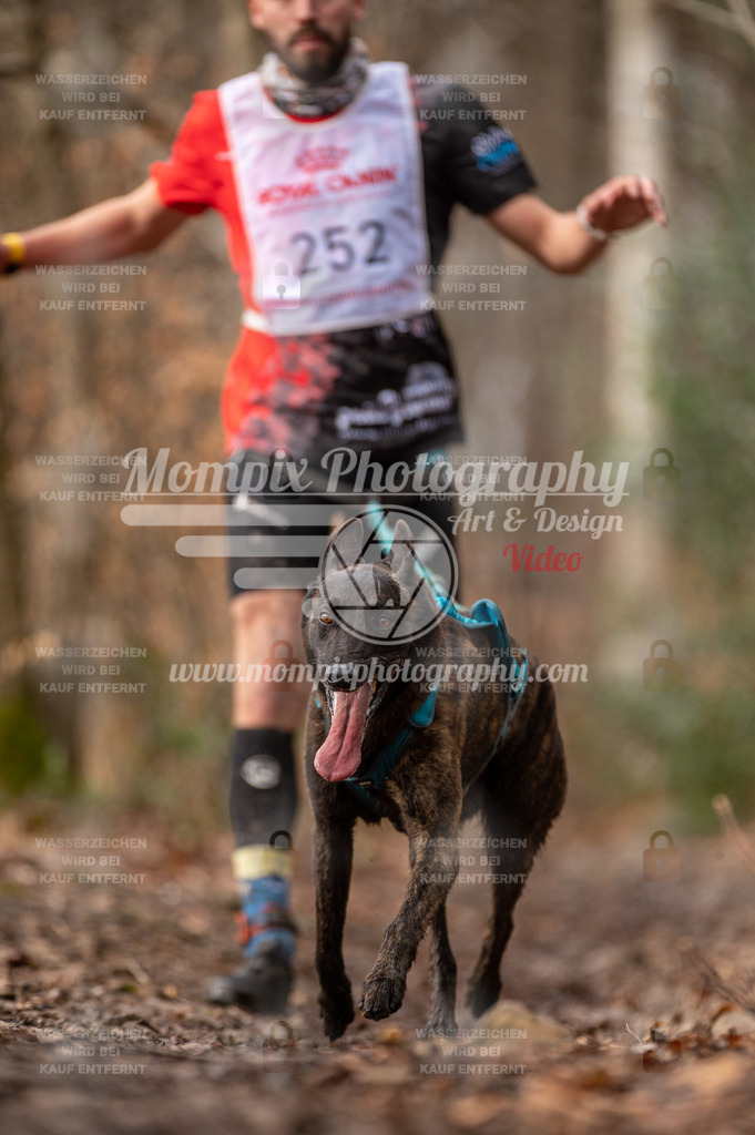 SPA_2023_DIM_CCK-3 | PayLife