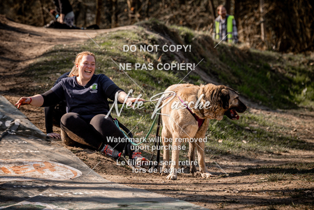 nelerasche_Hulsbeek_So1300-1330_503 | nelerasche